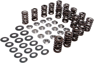Valve Spring Kit, 1, nordicamoto.ro