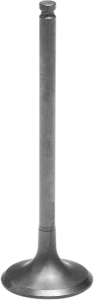 Tensilite® Engine Valve