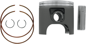 Piston Assy Plat S/d Std