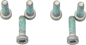 Brake Rotor Bolt Set Silver, Stainless Steel