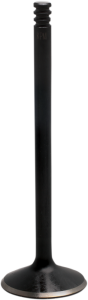 Black Diamond Engine Valve, 1, nordicamoto.ro