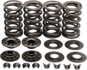 Valve Spring Kit