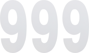 Standard Numbers White, 3, nordicamoto.ro