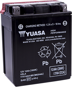 High Performance Agm Maintenance-free Battery