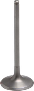 Tensilite® Engine Valve