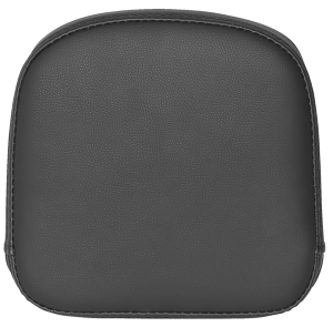 Sissy Bar Pad For Roadsofa Black, 1, nordicamoto.ro