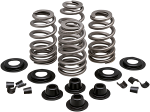 Valve Spring Kit, 1, nordicamoto.ro