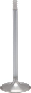 Engine Valve