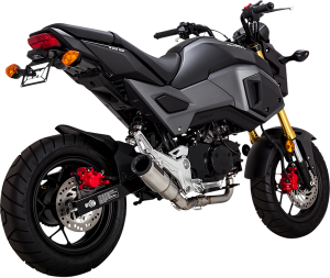 Hi-output Hooligan Exhaust System Brushed, 3, nordicamoto.ro