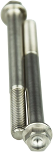 Titanium Screws Unfinished