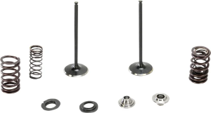 Stainless Intake Valve And Spring Kit 