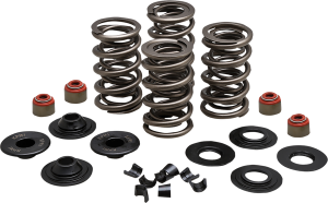 Lightweight Racing Valve Spring Kit