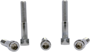 Replacement Socket Head Bolts Silver, 2, nordicamoto.ro