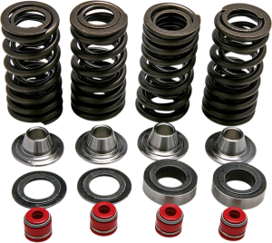 Valve Spring Kit