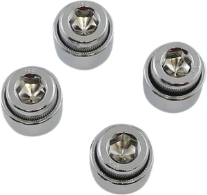Socket-head Rocker Arm Shaft End Plug Silver, 1, nordicamoto.ro