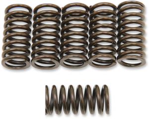 Clutch Spring Kit Black
