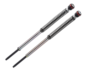 Frt Shocks Triumph, 1, nordicamoto.ro
