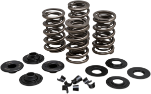 Valve Spring Kit, 1, nordicamoto.ro