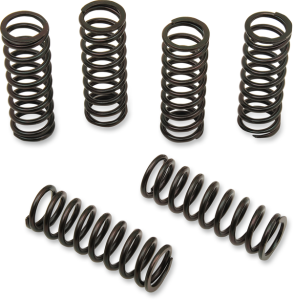 Clutch Spring Kit Black, 1, nordicamoto.ro
