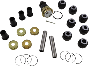 Rear Independent Suspension Linkage Rebuild Kit