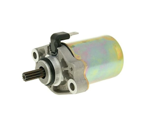Starter Motor Silver