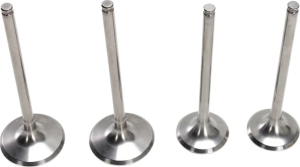 Pro Valve Kit 