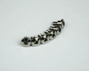 Titanium Screws Unfinished, 1, nordicamoto.ro