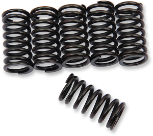 Clutch Spring Kit Black