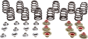 Beehive Valve Spring Kit