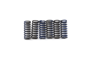 Clutch Spring Kit Black, 1, nordicamoto.ro