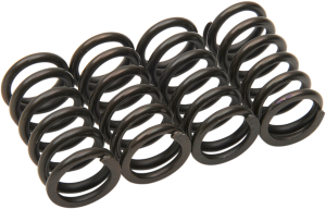 Clutch Spring Kit Black, 1, nordicamoto.ro