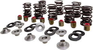 Valve Spring Kit