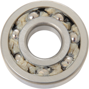 Transmission Door Bearing, 1, nordicamoto.ro