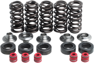 Valve Spring Kit