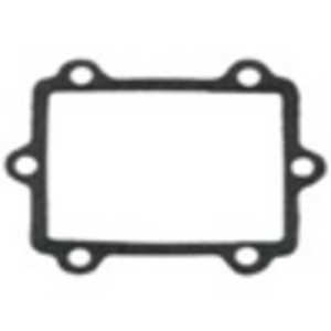 REED GASKET