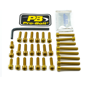 Bolt Kit Gold