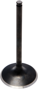 Black Diamond Engine Valve