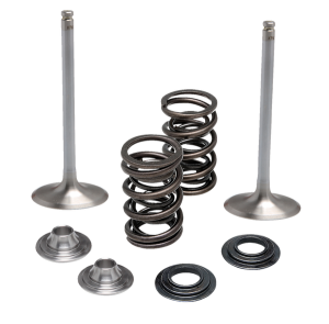 Engine Valve Kit