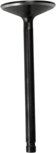 Nitrided Valve