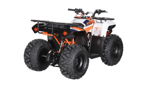 KAYO AU125 gyermek-ATV, 5, nordicamoto.ro
