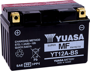 Agm Maintenance-free Battery Black
