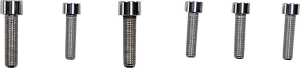 Bolt Kit,frt Calpr 06vrod Silver, 3, nordicamoto.ro