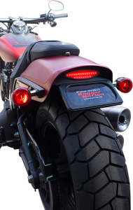 License Plate Relocation Frame W/taillight White, 3, nordicamoto.ro