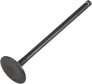 Black Diamond Engine Valve