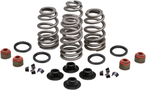 Valve Spring Kit