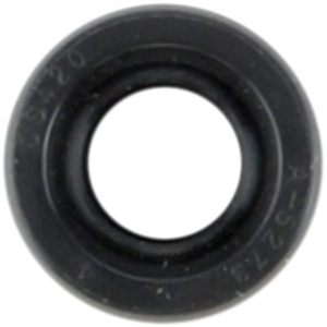 Shaft Seal
