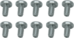Throttle Plate Screw