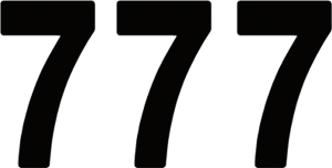Pro Numbers Black, 3, nordicamoto.ro