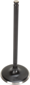 Black Diamond Engine Valve