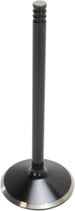 Nitrided Valve